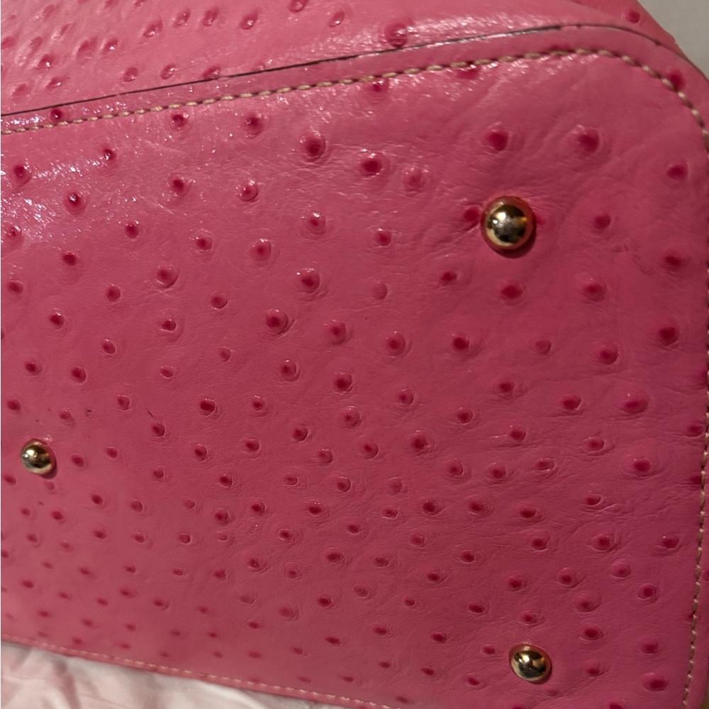 Dooney & Bourke Pink Ostrich-Embossed Tote - Picture 14 of 15